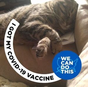 Meet your Posher, Randy